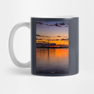 Lake Mulwala, Yarrawonga, Victoria, Australia. Mug